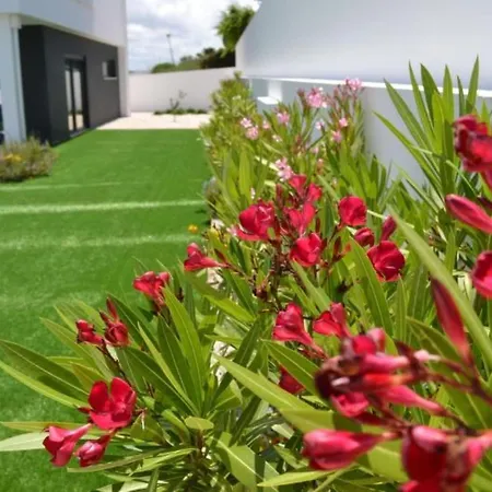 Vakantiehuis Neue Moderne Mit Privatem Pool By Interhome *