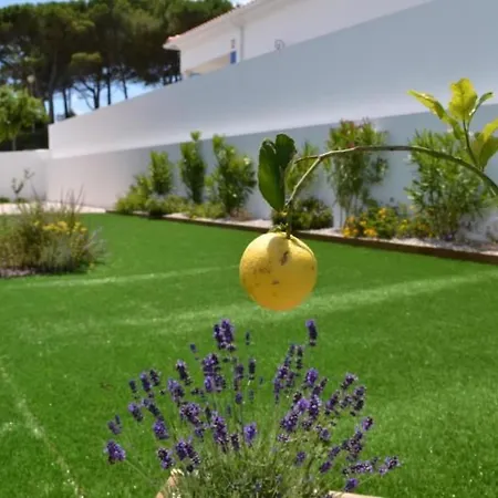Neue Moderne Mit Privatem Pool By Interhome Vakantiehuis Famalicão
